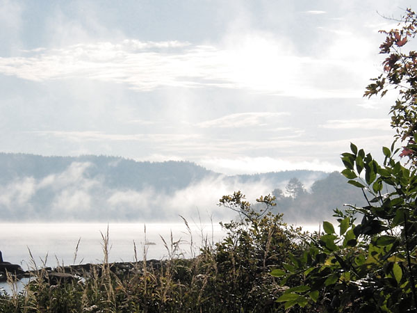 Morning Mist