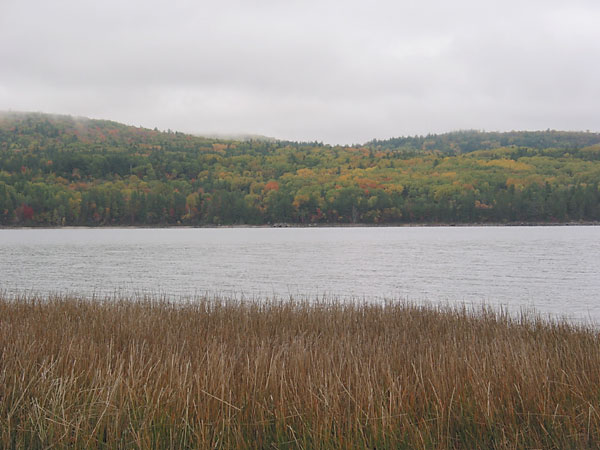 looking across the Ottawa River at Point Alexander