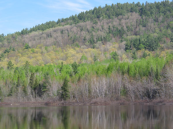 Presquisle Bay on the Ottawa River near Point Alexander