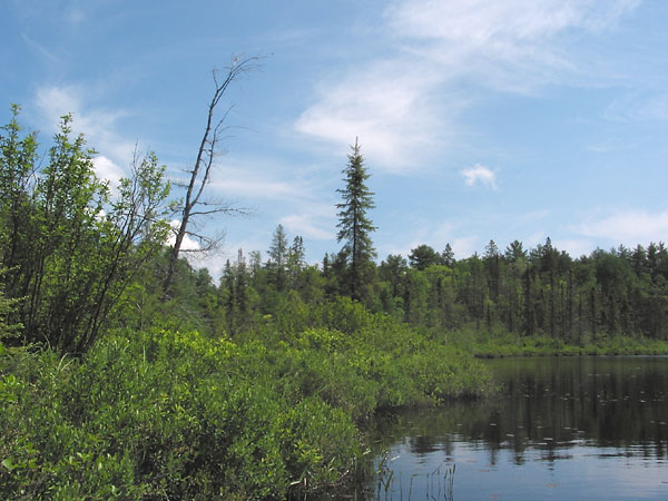 Small Lake