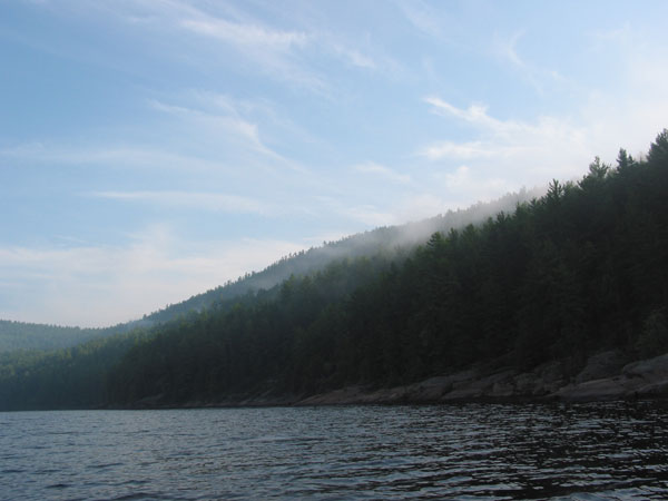 Morning Mist