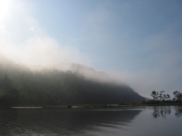 Morning Mist