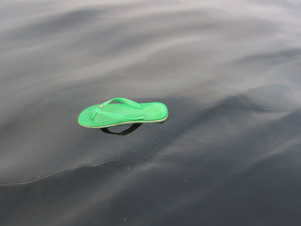 Waterwalker