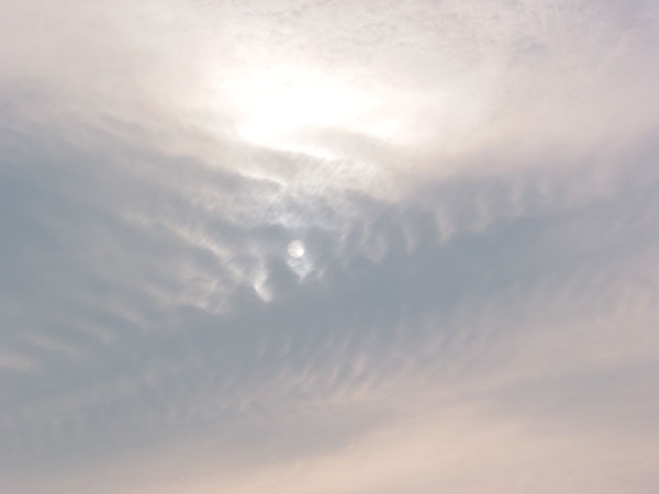 Mackerel Sky