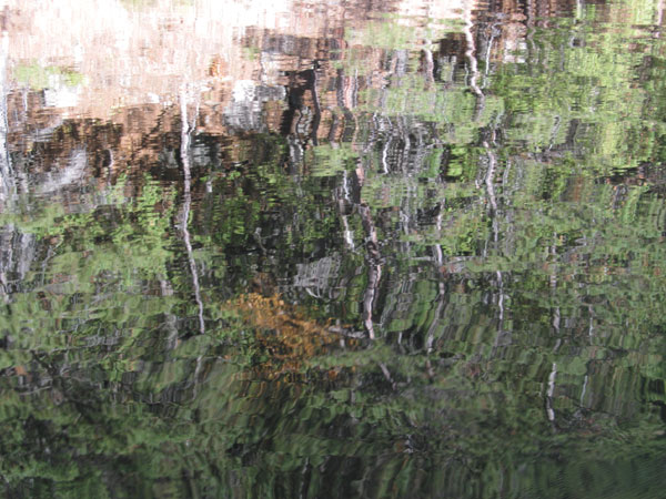 Barron River in Algonquin park