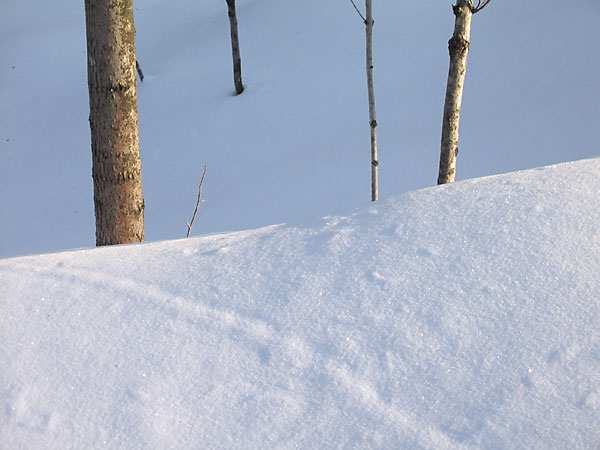 snow bank