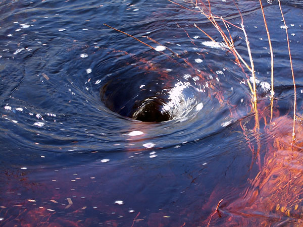 vortex on Young Creek