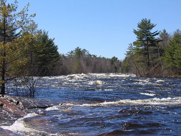 Petawawa River in Spring Flood