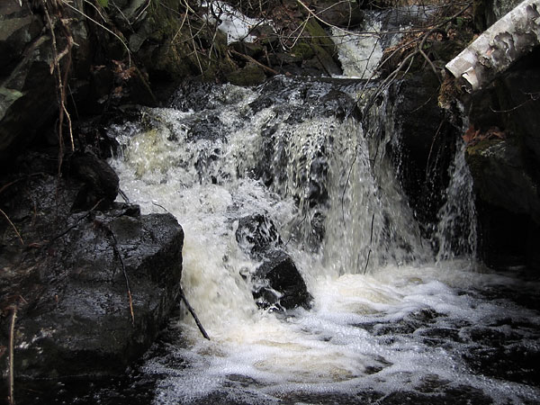 An unnamed creek in the Petawawa Research Forest