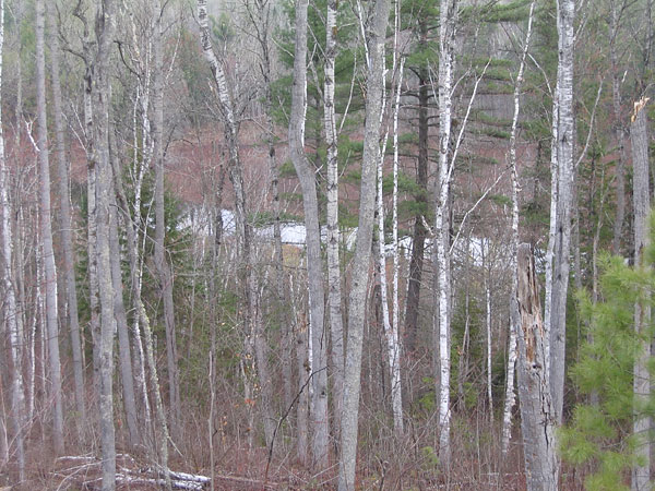 Chalk River between First and Second James Lake