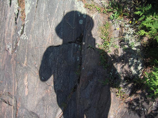 SelfPortrait