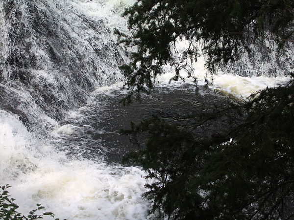 First Chute on the Barron River