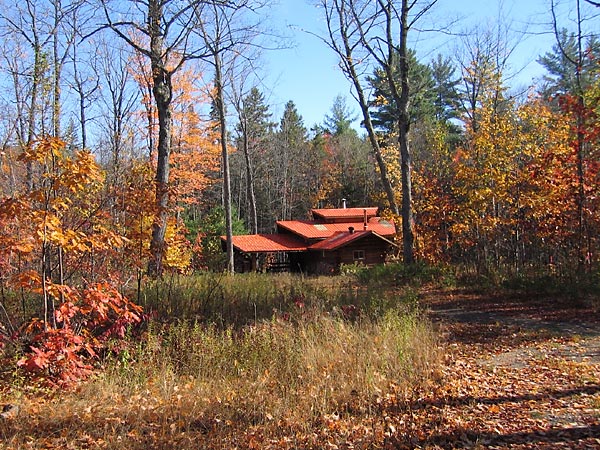 The sugar bush in the Petawawa Research Forest