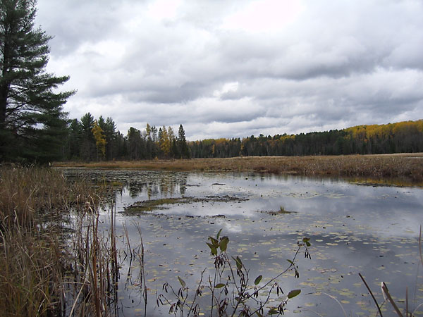 Cranberry Lake on the Deep River cross country ski trail system