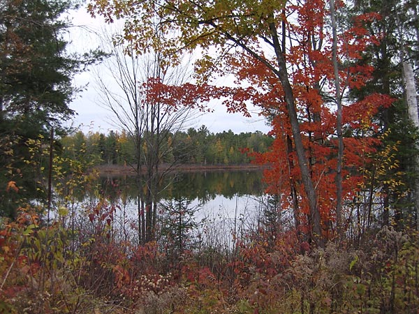 Corry Lake