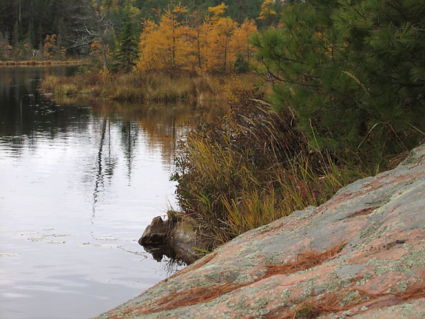 And more late season fall colours at Maunsell Lake