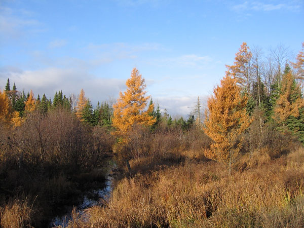 Pumphouse Creek in the village of Chalk River