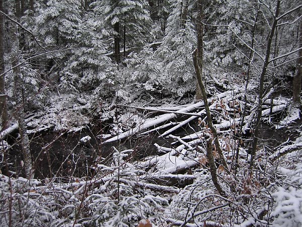 Kennedy Creek along the Deep River cross country ski trail system