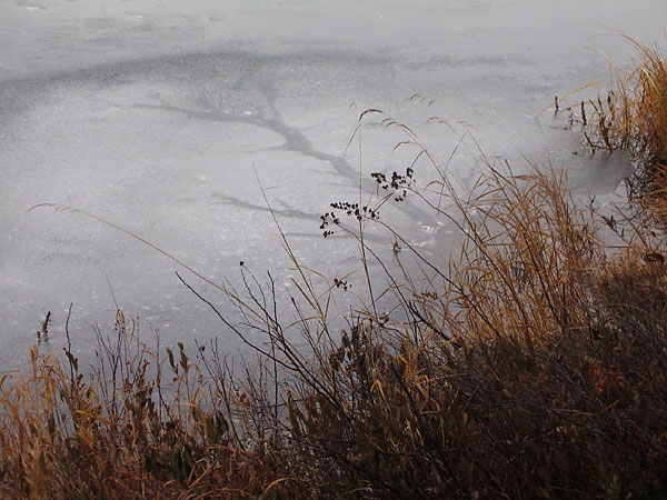Maunsell Lake in the Petawawa Research Forest
