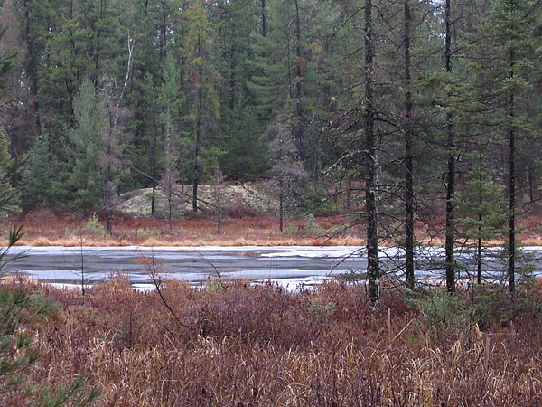 Maunsell Lake in the Petawawa Research Forest