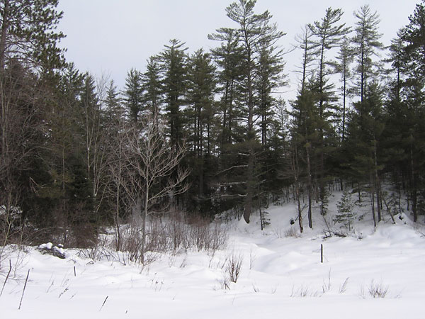 Tucker Creek