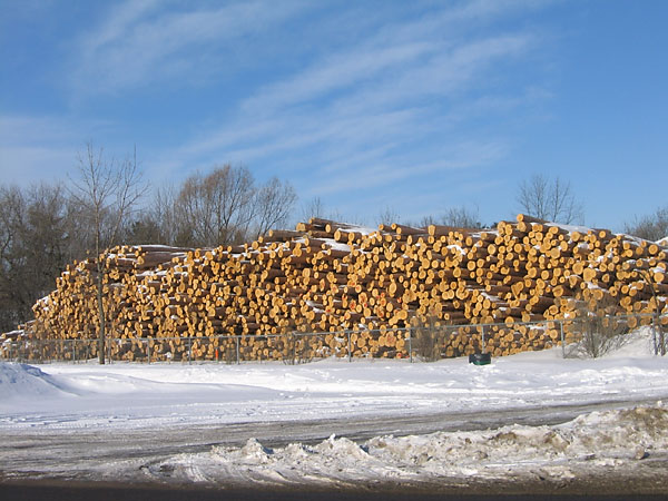 The Commonwealth Plywood Plant in Pembroke
