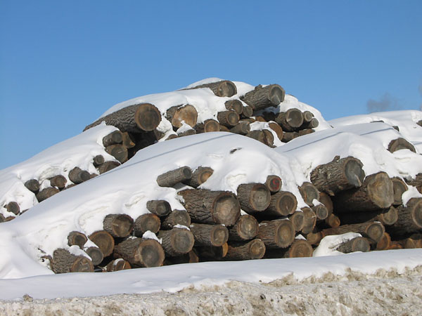 The Commonwealth Plywood Plant in Pembroke