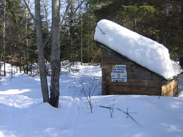 HSA ski trail in the Petawawa Research Forest