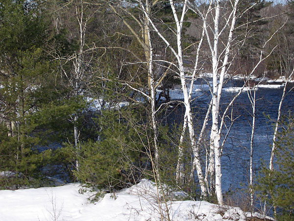 Petawawa River at Hwy 17