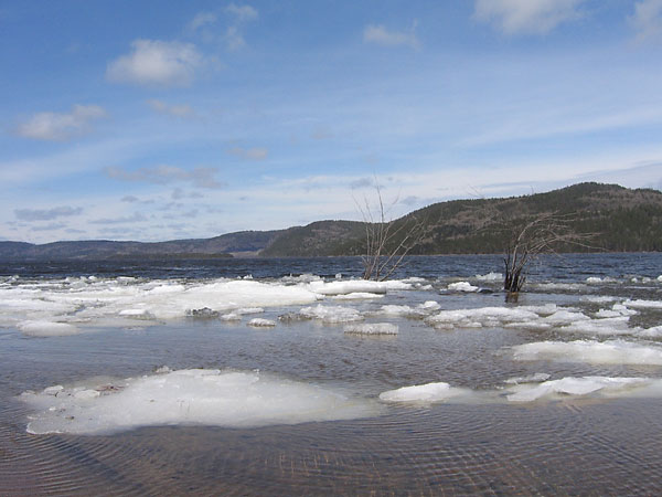 ice out at Point Alexander on the Ottawa River