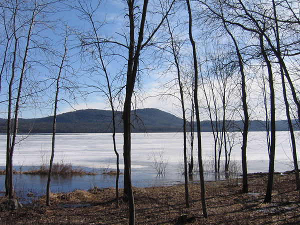 Mount Martin
