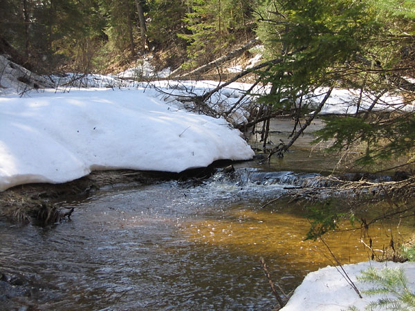 McConnell Creek