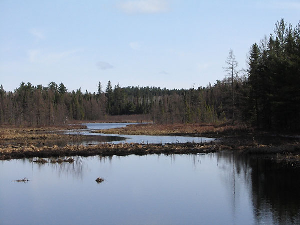 Beaver Pond on Maunsell Creek in the Petawawa Research Forest