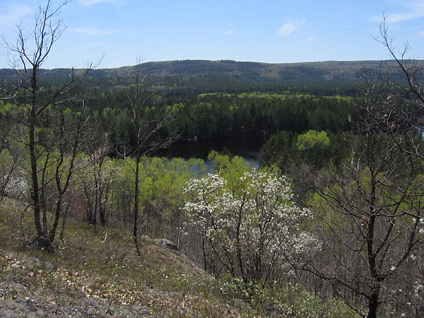 View from Egg Rock overlooking the Bonnechere River Valley on the southeastern boundary of Algonquin Park