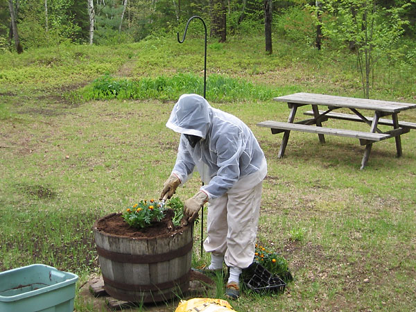Gardening in the bug season