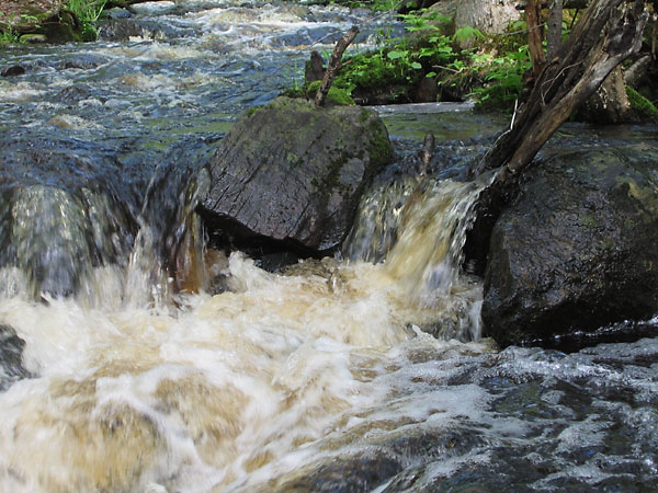 Kennedy Creek in Deep River