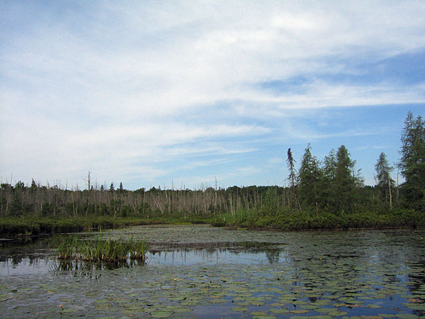 Tee Lake near Rolphton