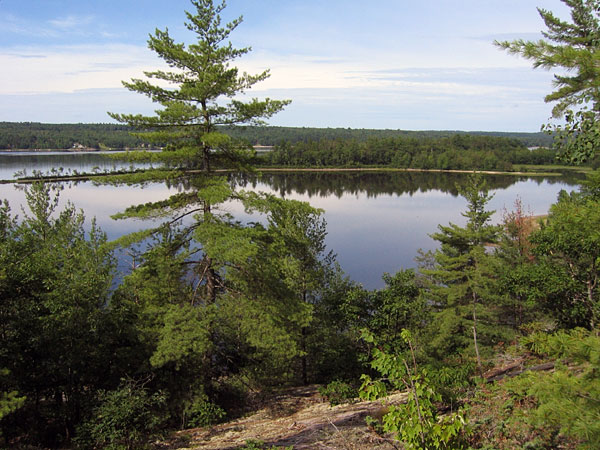 Upper Presquisle Bay on Ottawa River near Point Alexander