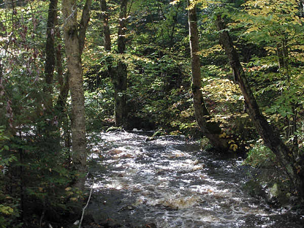 Kennedy Creek along the Silver Spoon Ski Trails in Deep River