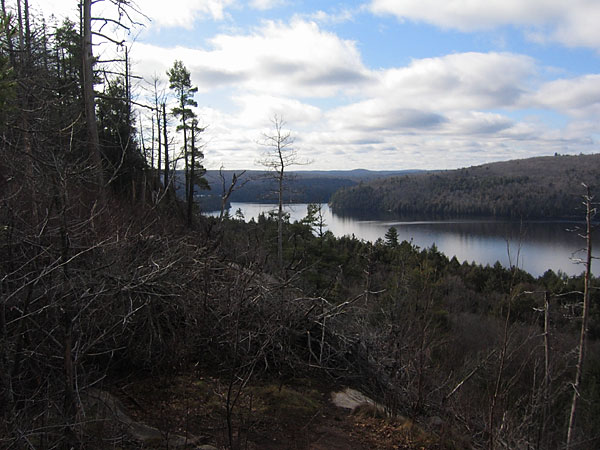 along the Booths Rock Trail in Algonquin Park