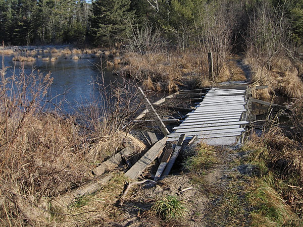Bridge over Kennedy Creek