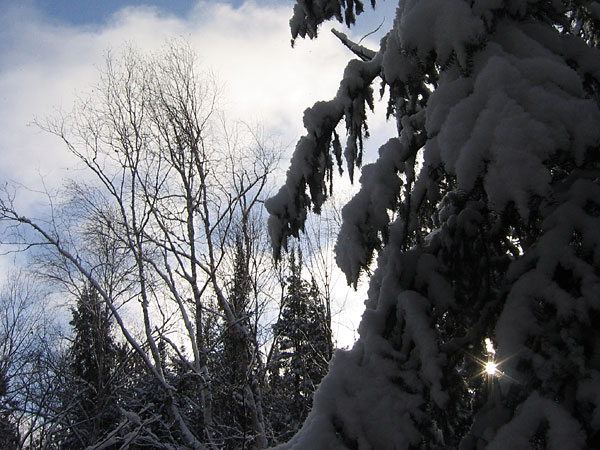 Winter Sky