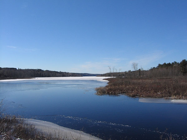 Corry Lake