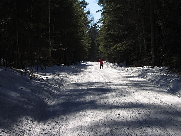 Meridian Road Petawawa Research Forest