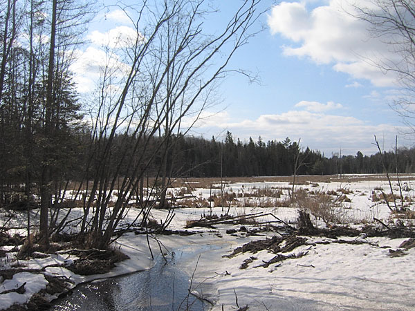up the Bass Lake Road
