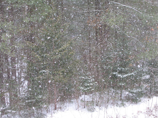 Late Season Snow