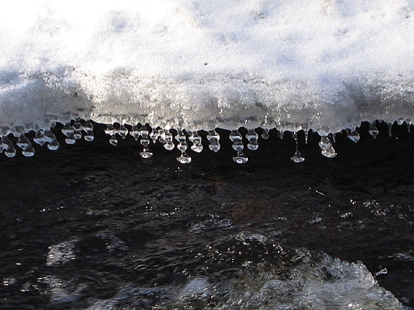 Ice Shapes  Kennedy Creek