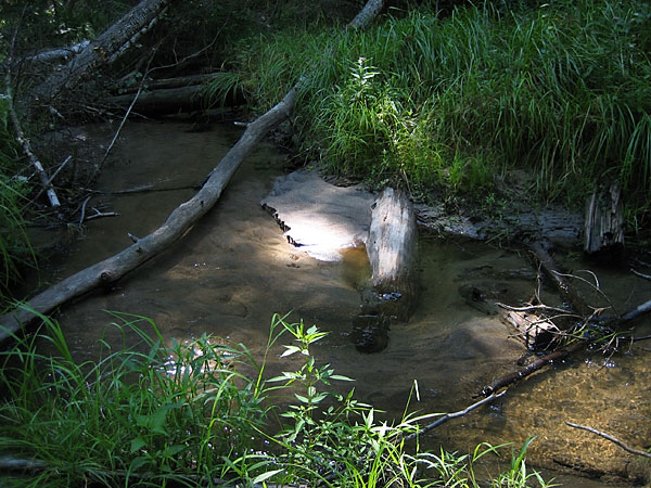 McConnell Creek Bottom