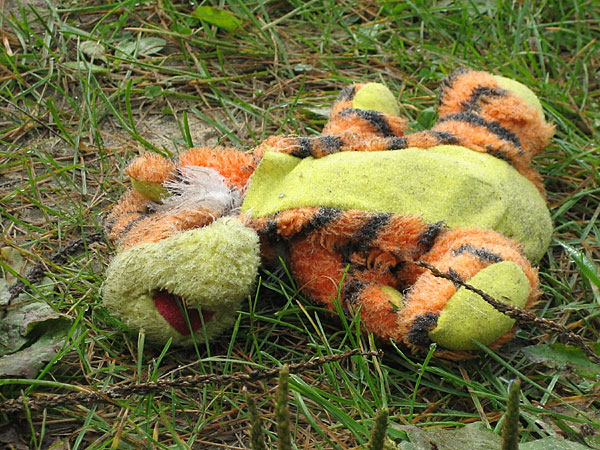 Murder most foul at Corry Lake beach