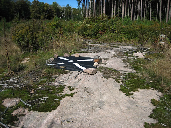 in the Petawawa Research Forest